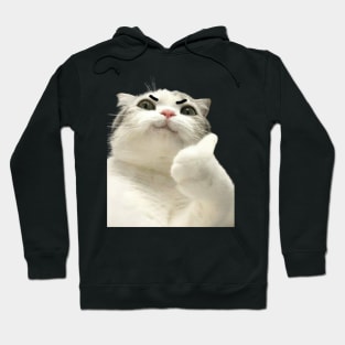 funny meh cat Hoodie